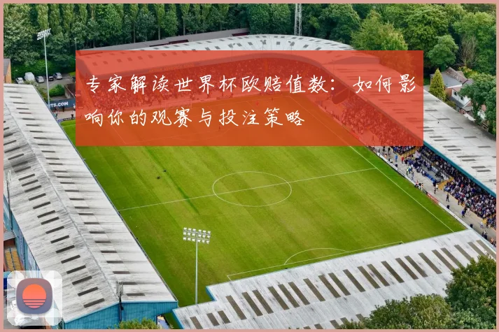 专家解读世界杯欧赔值数:如何影响你的观赛与投注策略