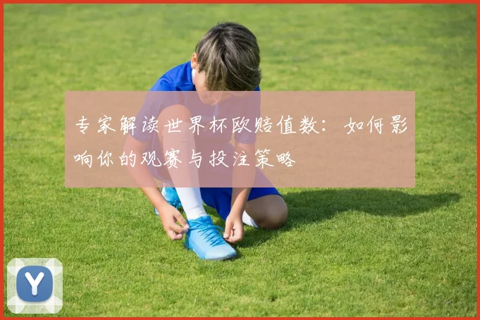 专家解读世界杯欧赔值数:如何影响你的观赛与投注策略